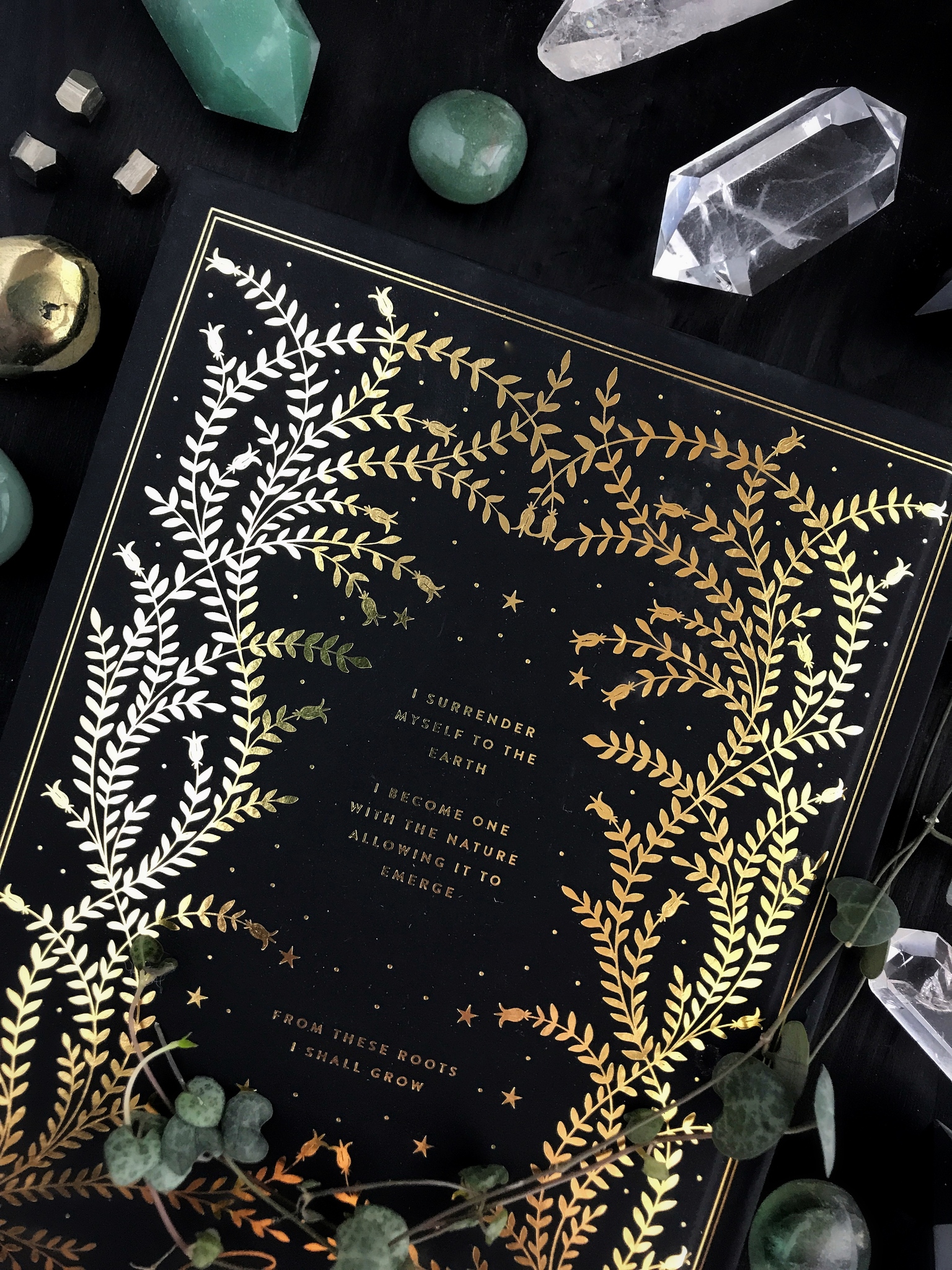 NYHET! Lyxig herbarium journal i svart och guld