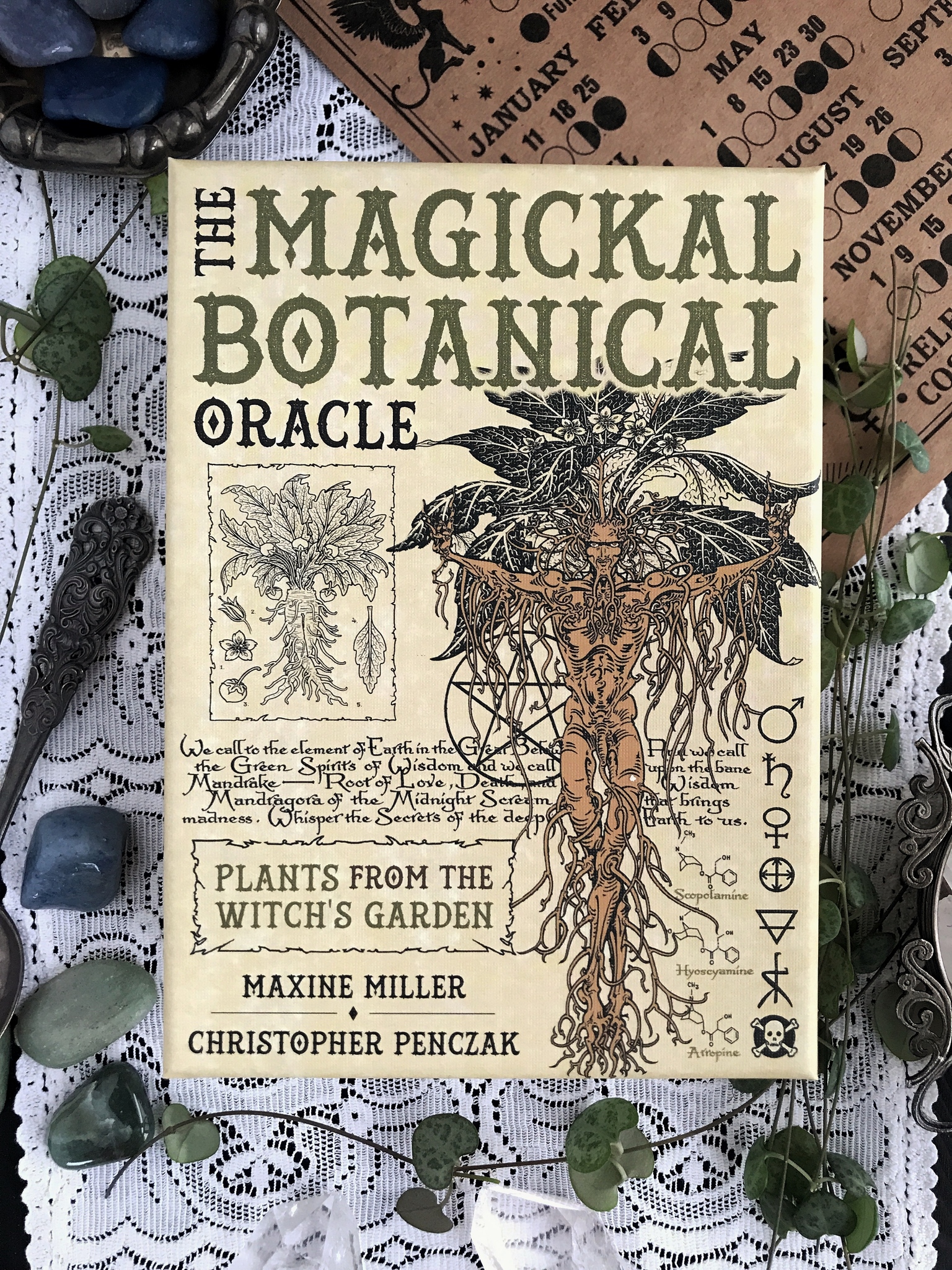 NYHET! The magickal botanical orakelkort