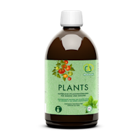 Bladguld (Plants)