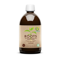 Rotguld (Roots)