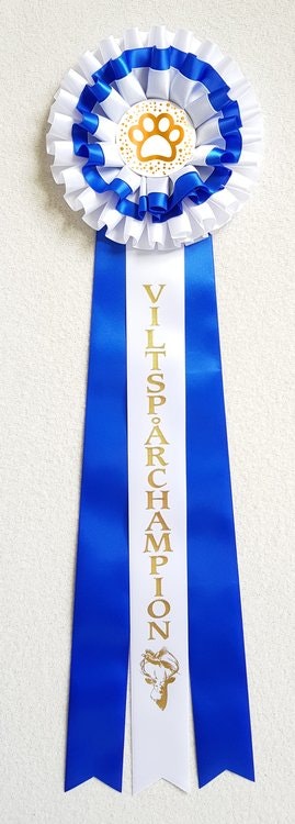 Viltspårchampion - STDL3