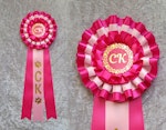 CK - Certifikatkvalitet- STDP3