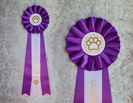 Clear Round TSM Klass 2 - ST4