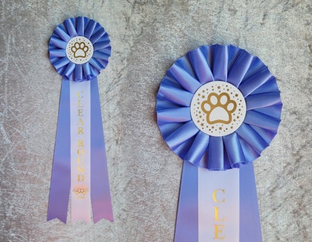 Clear Round NW1 - ST4