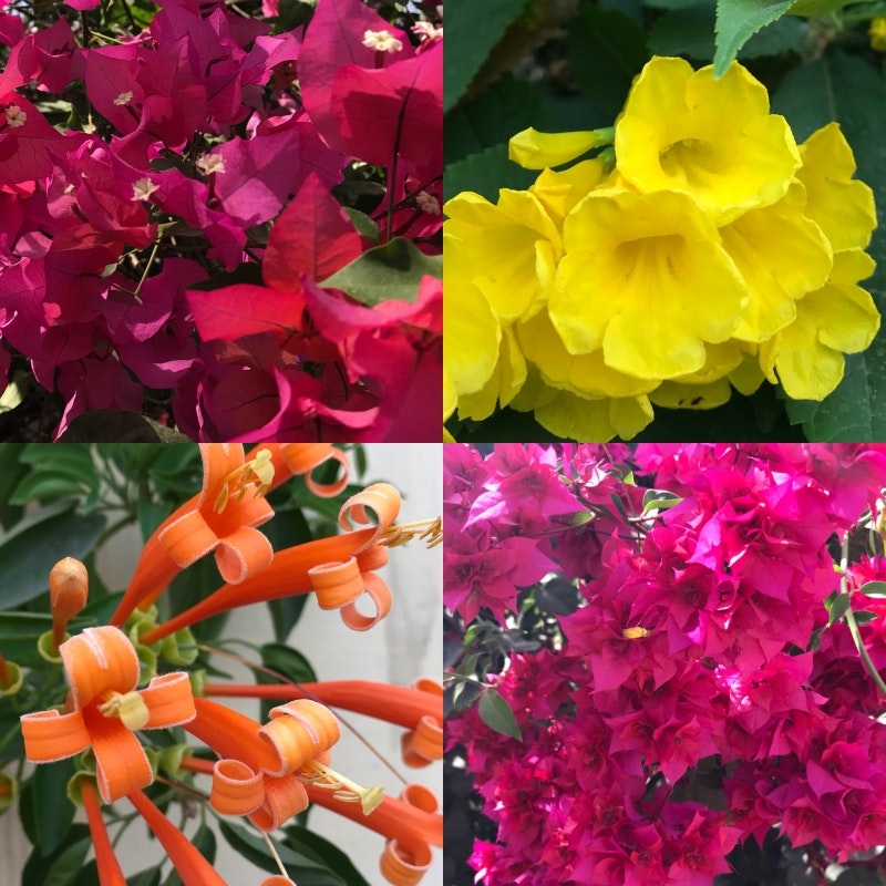 Colours of India- a source of inspiration!
