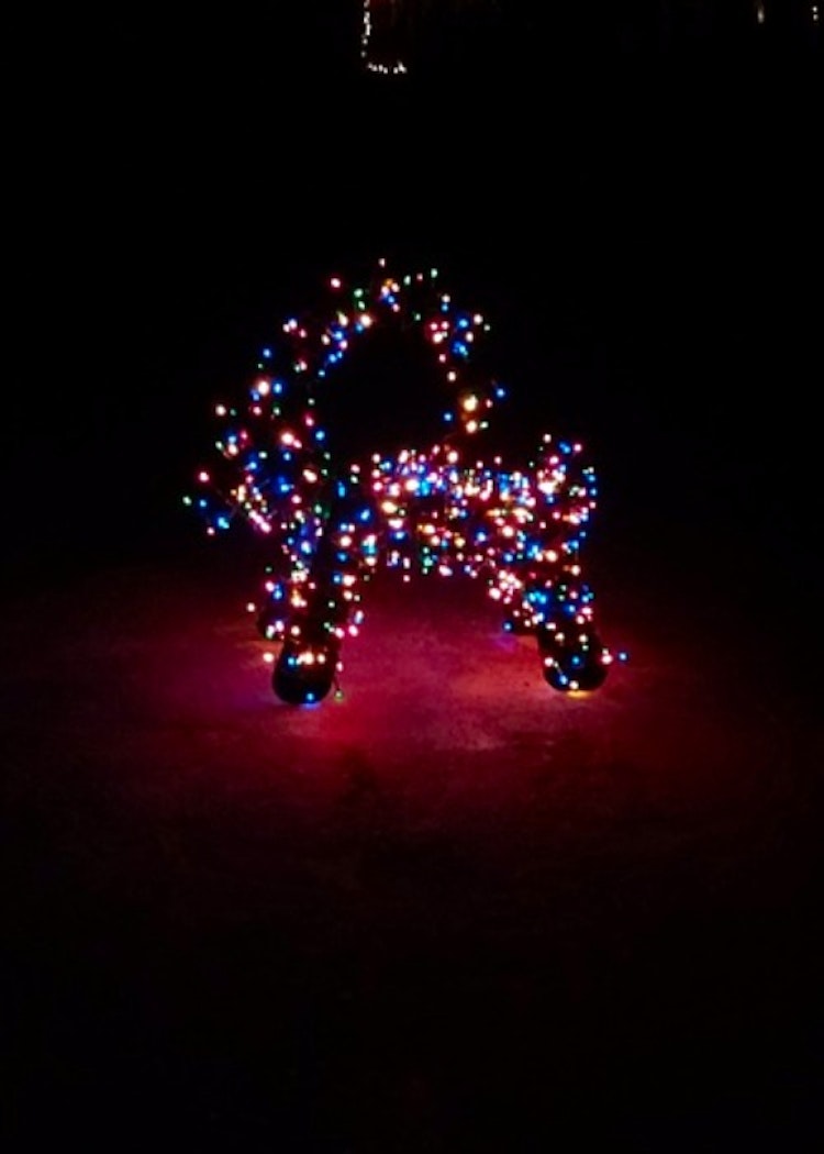 Julbock med ledslinga ljusslinga