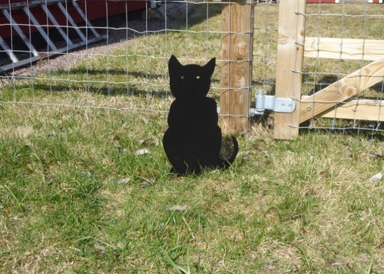 Siluett i form av en sittande svart katt som är nedstucken i marken.
