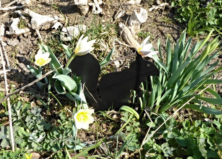 En svart ekorre i plåt som sticker ner i marken.