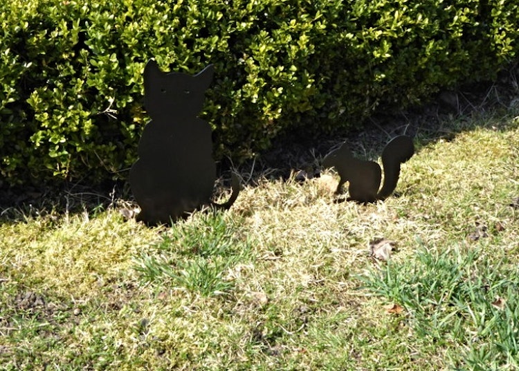 Sittande svart katt och en svart ekorre i plåt som är nedstuckna i marken.