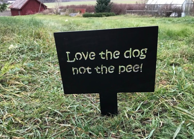 Svart skylt i plåt med texten Love the dog not the pee.