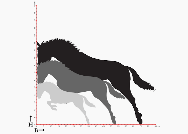 Storleksdiagram med hästsiluetter.