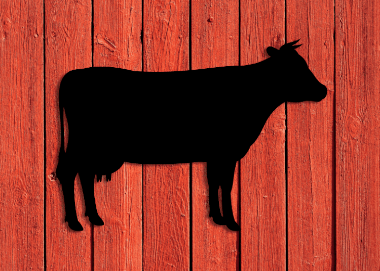 Svart siluett av ko på röd träfasad.