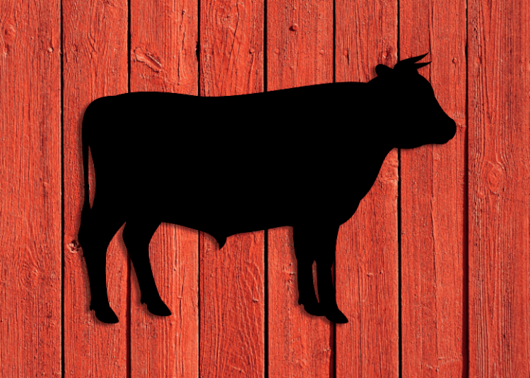 Svart siluett av tjur på röd husvägg.