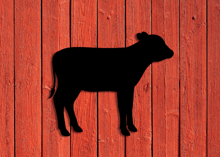 Svart siluett av kalv på röd vägg.