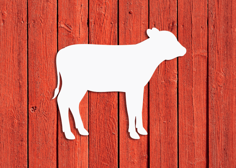 Vit fasadsiluett av en kalv på röd träfasad.