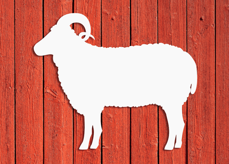 Siluett av ett får på röd husvägg.