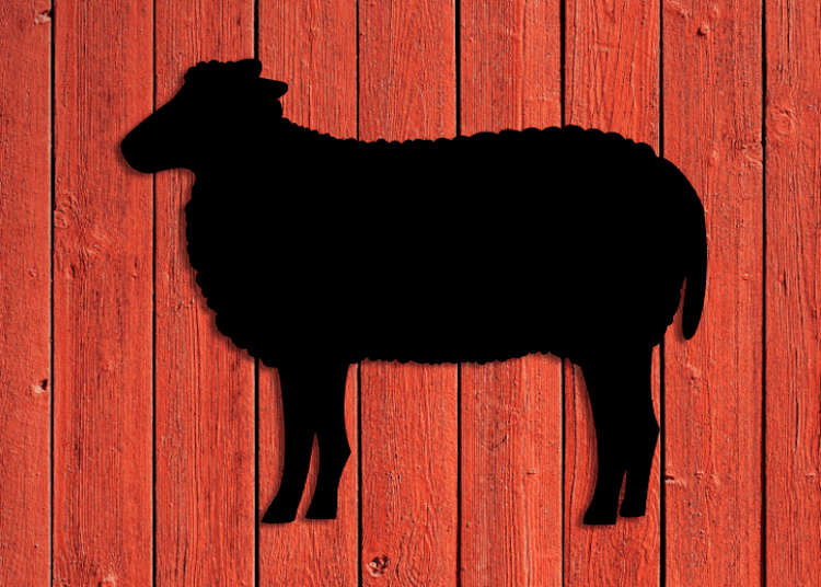 Svart siluett av ett får mot röd trävägg.