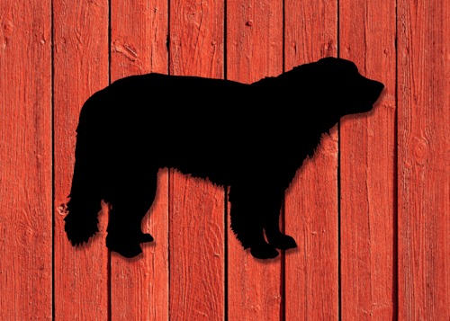 Fasaddekor Hund, Leonberger