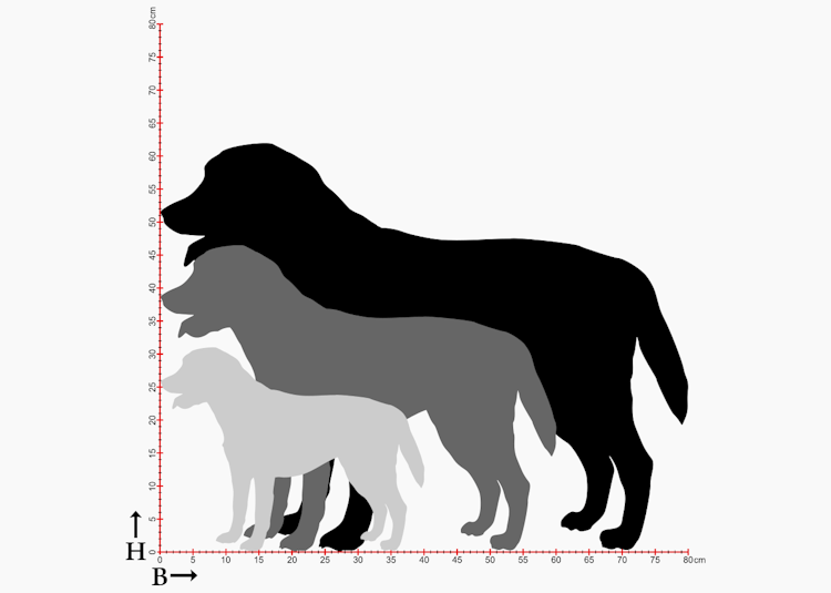 Hundsiluetter i 3 storlekar, av hunden Labrador.