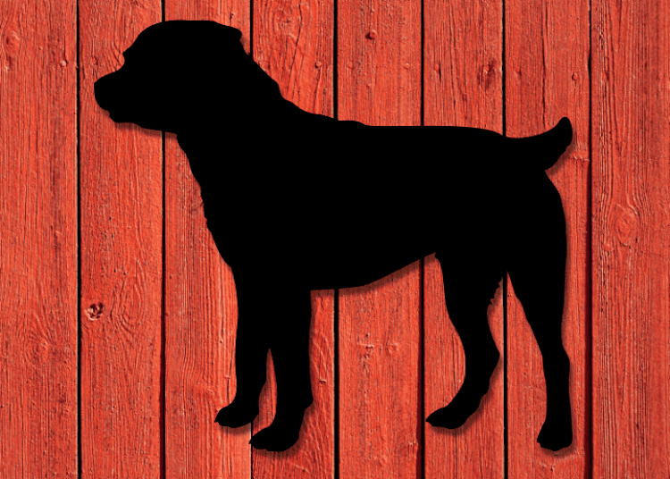 Svartlackerad siluett i plåt av en Rottweiler på en röd husvägg.