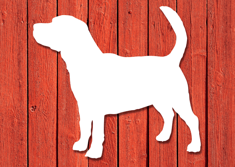 Vit hundsiluett av rasen Beagle, på röd husvägg.