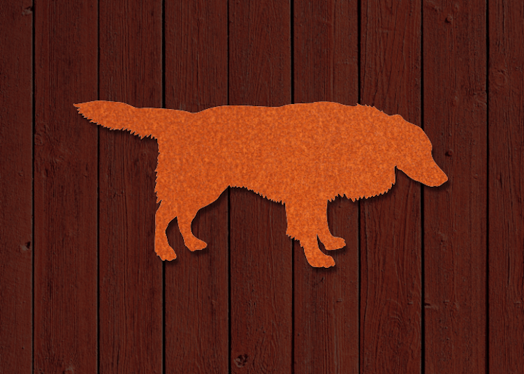 Hund Border Collie i snygg orangeröd cortenplåt på mörk träfasad.