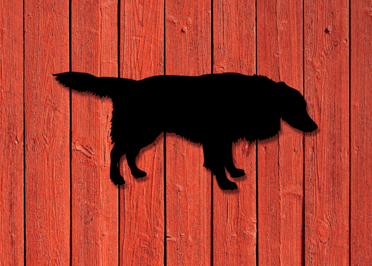 Svart siluett av en Border Collie på röd träpanel.