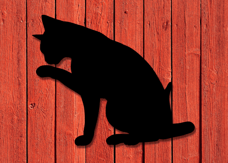 Svart siluett av sittande katt mot röd husvägg.