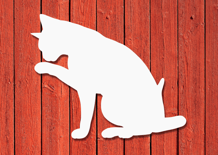 Vit siluett av katt mot röd trävägg.
