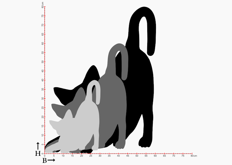 Storlekstabell med siluett av katter i 3 storlekar.