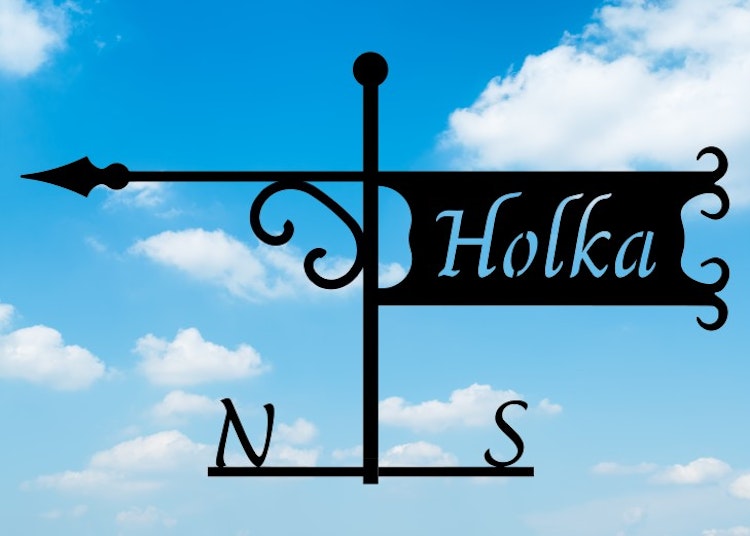 Vindflöjel Smide "Holka"