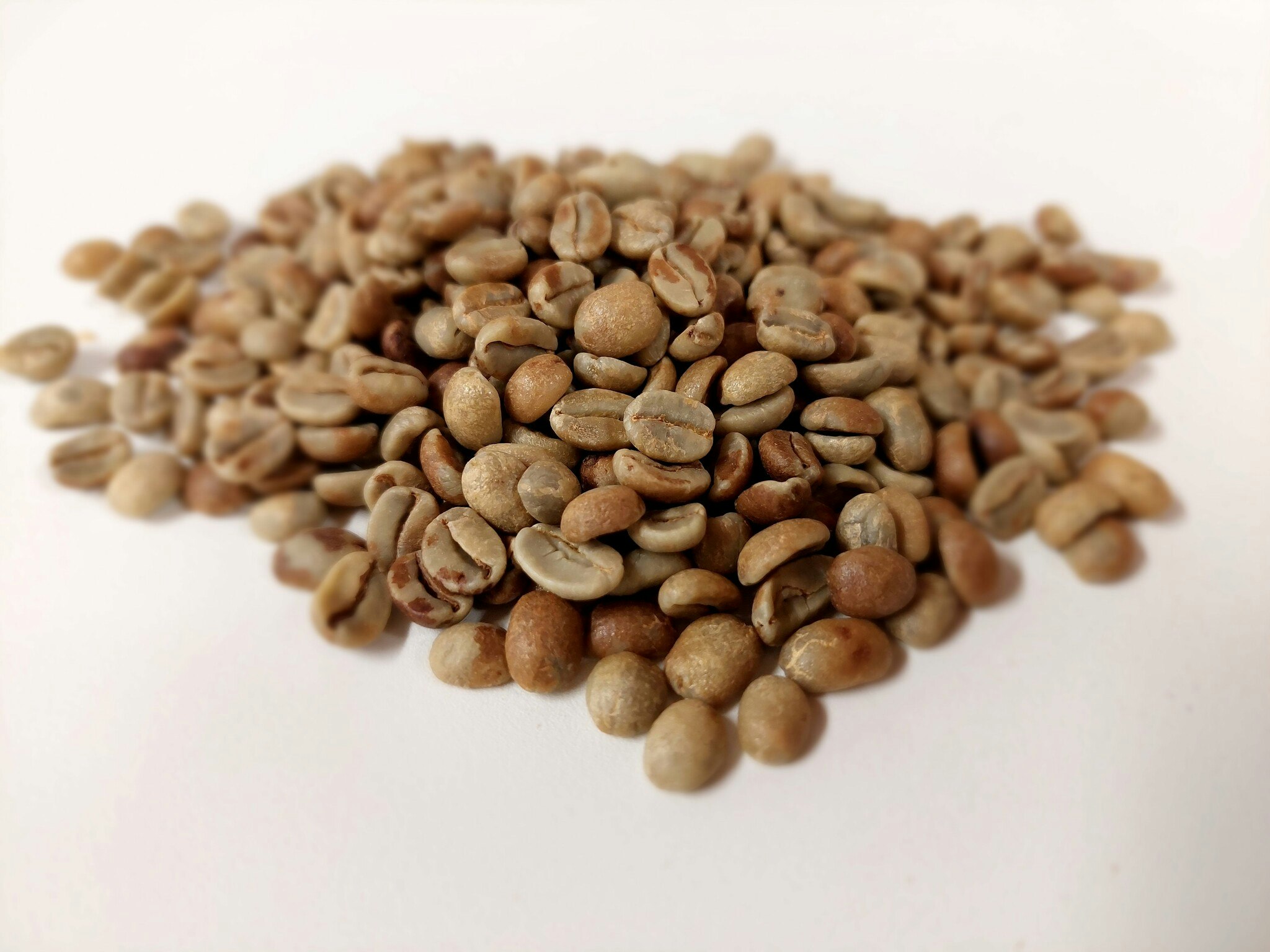 El Salvador Honey Red Bourbon- Finca Shangrila, Traceability, 1kg