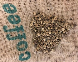 Guatemala Flor de Coban, Washed, 1kg