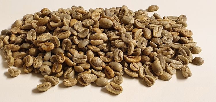 Nicaragua Washed Pacamara Gigante - Finca La Bendicion, Traceability, 1kg