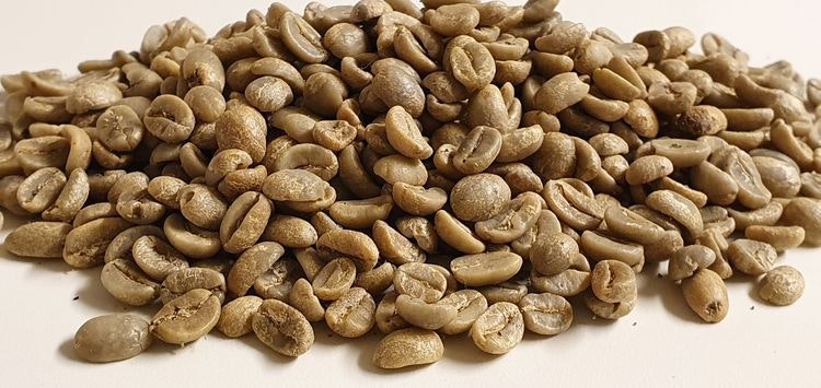 Peru Tres Mosquesteros Gr 1,  Washed, 1kg