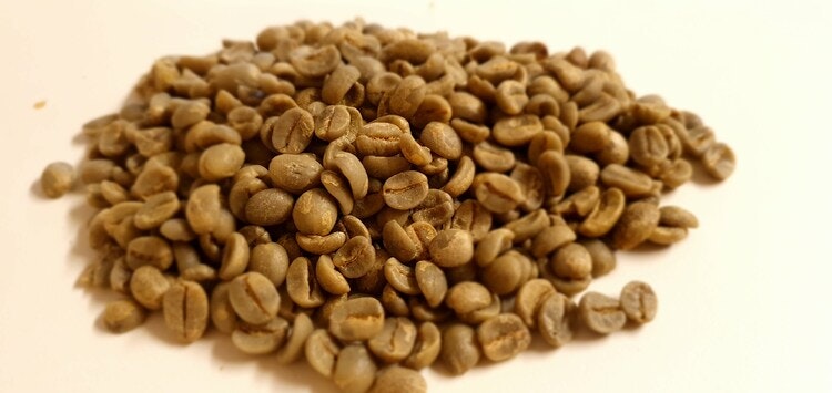 Brazil Pulped Natural Catucaὶ- Fazenda Santa Cruz - Traceability, 1kg
