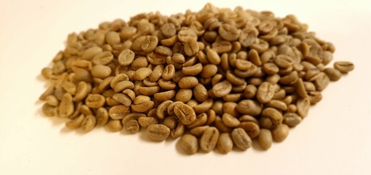 Colombia Washed Women Coffee Project - Antioquia, Traceability, 1kg