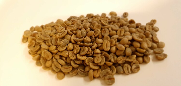 Brazil Natural, Red Cataui, Donas do Cafe, Traceability, 1 kg