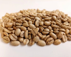 India Arabica Malabar AA, Monsooned, 1kg