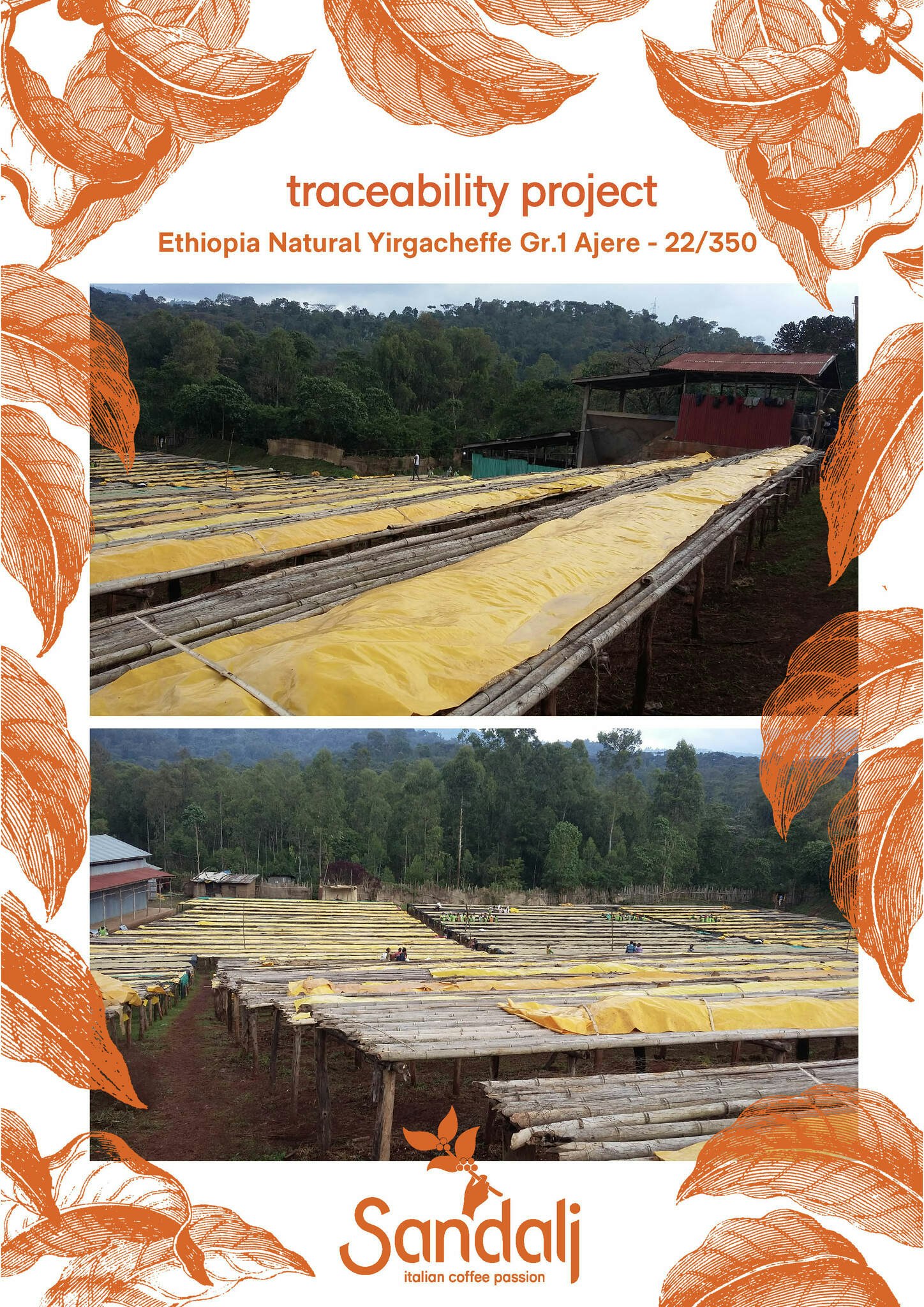 Ethiopia Yirgacheffe Natural Gr 1, Ajere, Traceability 1kg