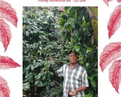 Dominican Republic  Honey Barahona AA, Excellence, Traceability, 1kg