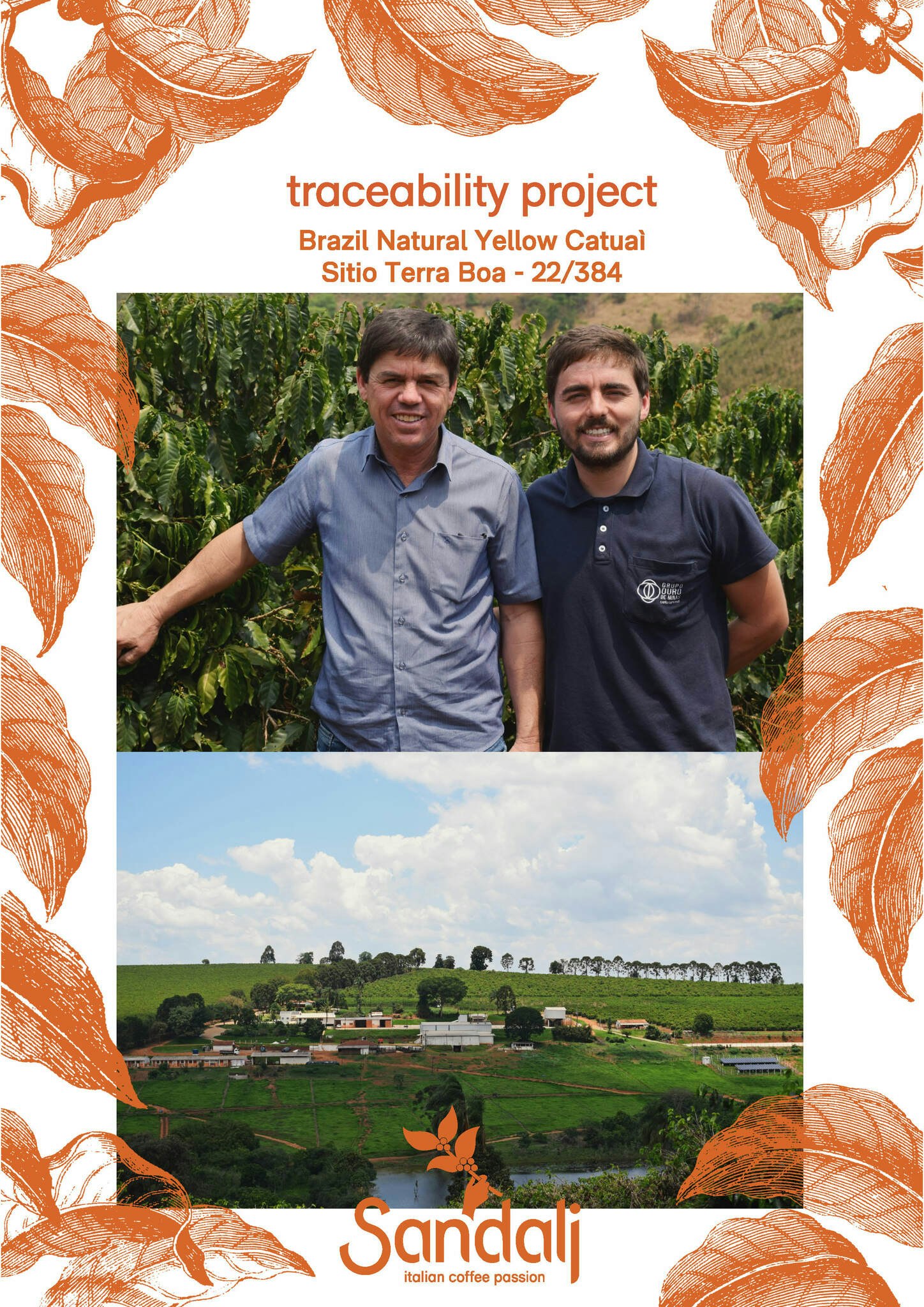 Brazil Natural Yellow Catuai, sitio Terra Boa, Traceability