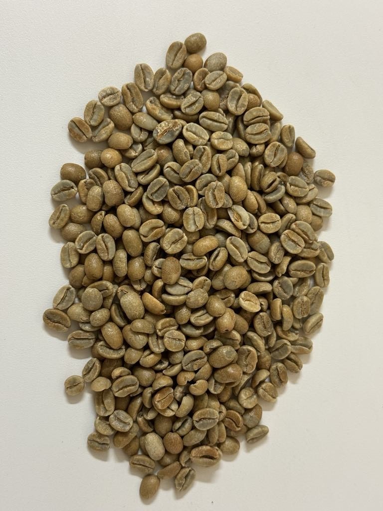 Nicaragua Finca El Cipres, Marsellesa. Natural Anaerobic, Traceability, 1st