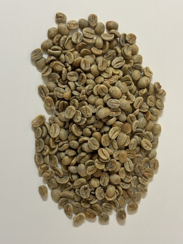 Brazil, Fazenda Chapadao, Natural, 23/101, Traceability Project, 1kg