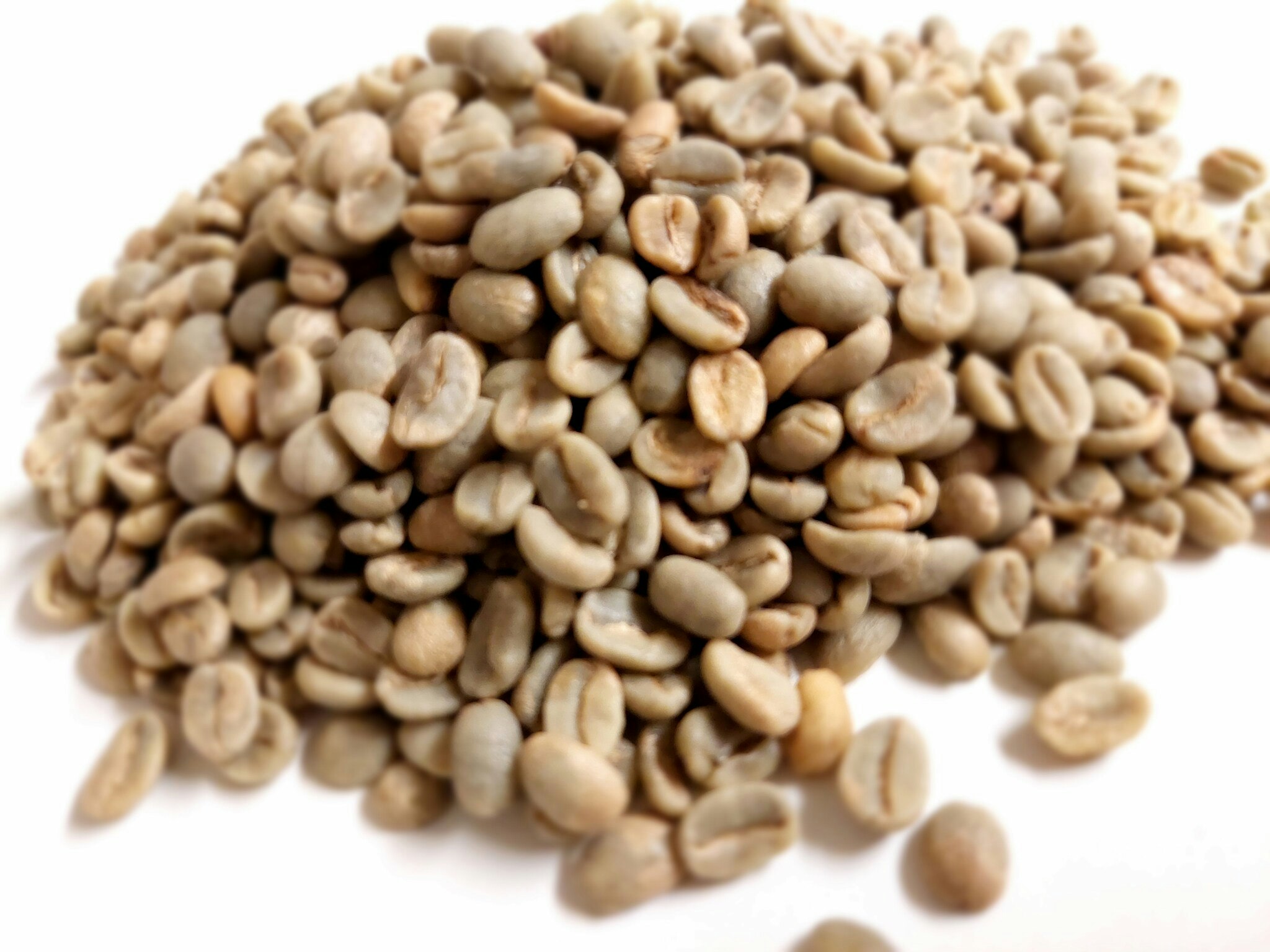 Colombia, Kelly Cordoba La Golondrina, Long Fermentation, Traceability, 1kg