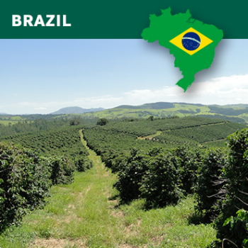 Brazil sul de Minas, Fazenda Mirante, Drum Fermentataion, 1kg