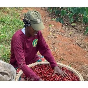 Brazil sul de Minas, Fazenda Mirante, Drum Fermentataion, 1kg