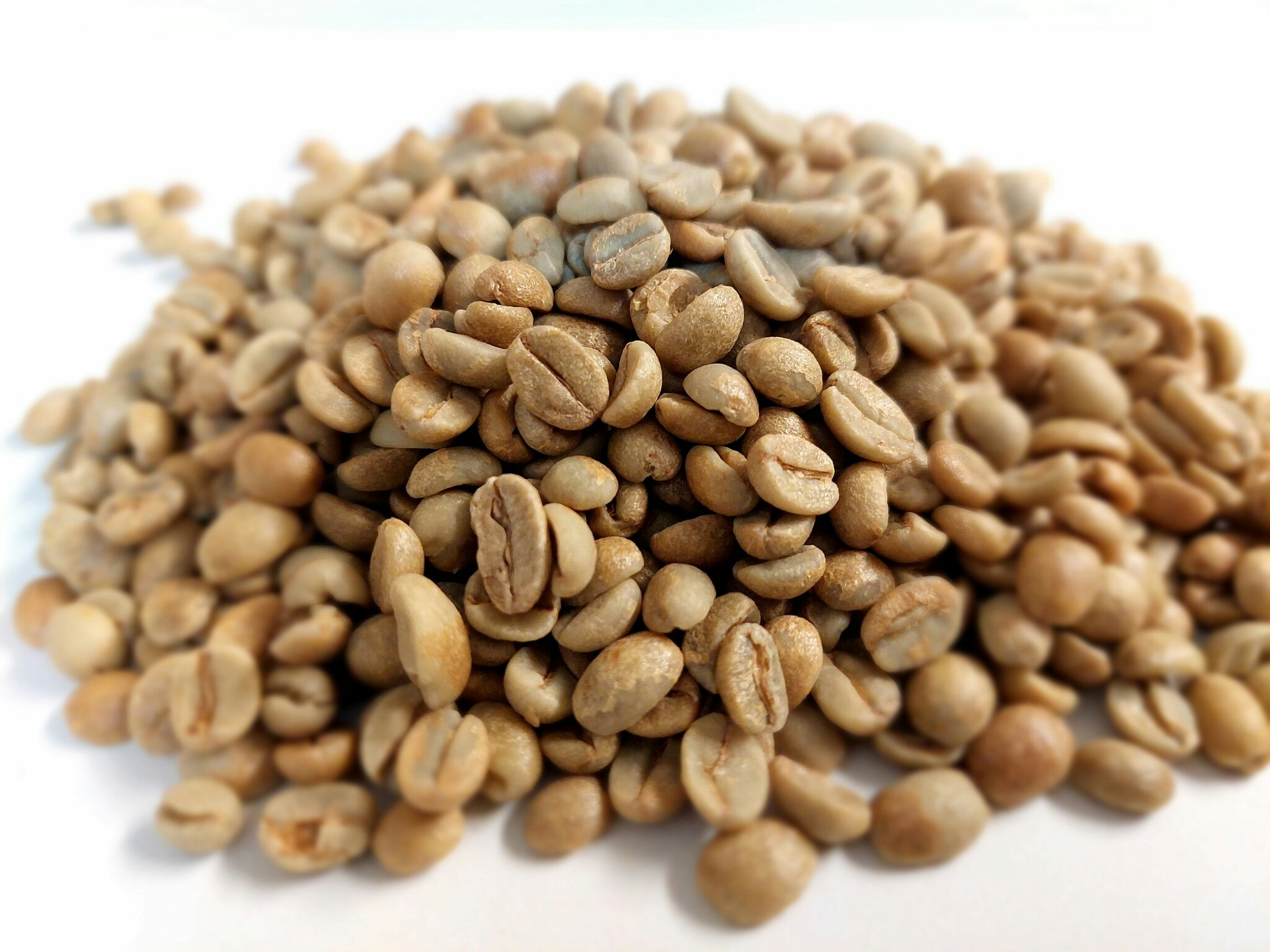 Tanzania, Ngorongoro Crater, Edelweiss Est. Traceability, Natural, 1kg