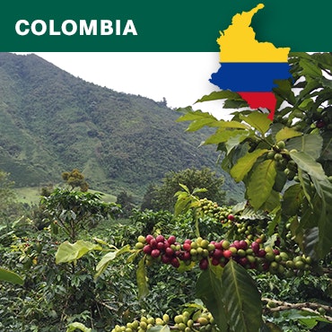 Colombia Cauca,  Excelso EP, washed, 1kg