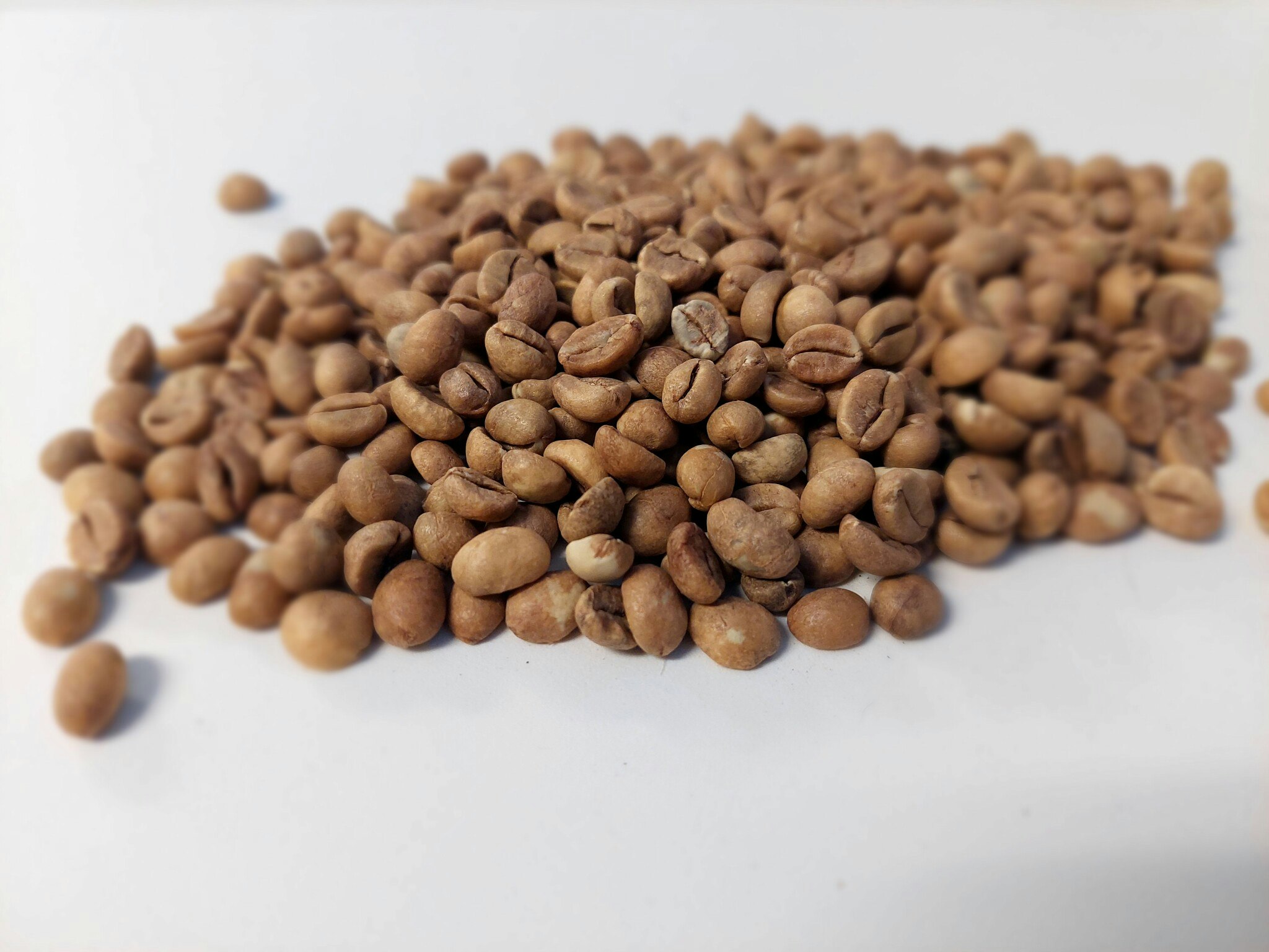 Brazil, Conilon Robusta, Fazenda Venturim, Washed, 1kg